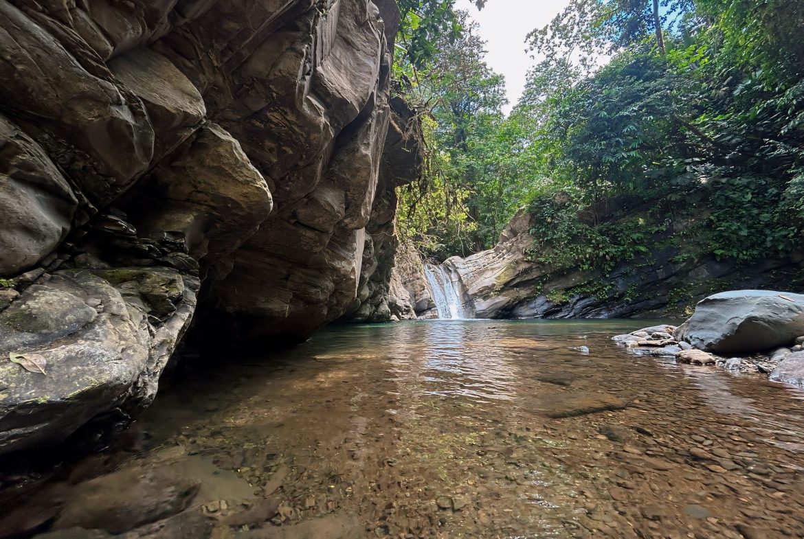 JUNGLE DREAMS FARM: WHERE NATURE MEETS SERENITY – 20 ACRES